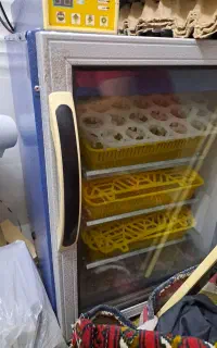 دستگاه جوجه کشی بلدرچین دماوند