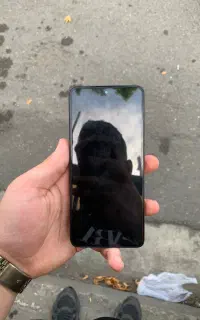 نوت 13