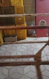 چهار پایه