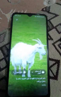 گوشی ردمی ۹a