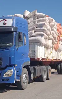 کاه گندم دیمه نرم