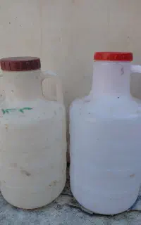 دبه خیارشور