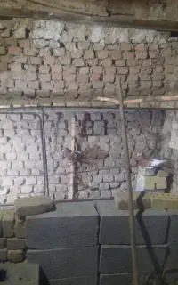 قفس