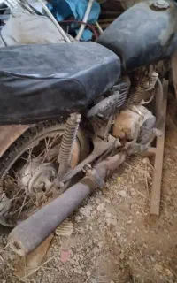 سیجی