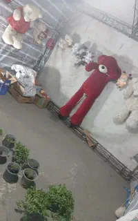 عروسک به صورت یکجا