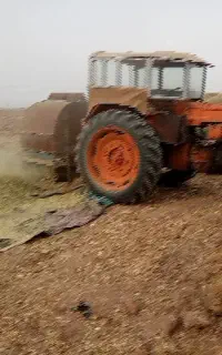 باغبانی درخت کاری