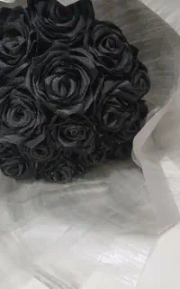 گل روبانی