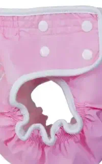 شورت آموزشی