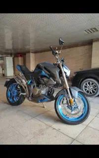 زونتس z4 250
