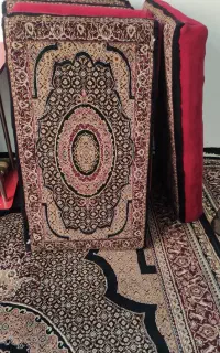 6عددپشتی در حدنوبه فروش میرسد