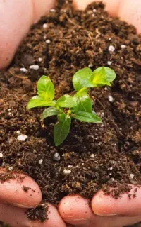 خاک آوار خشتی مناسب زمین کشاورزی