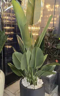 تبلیغات رایگان کسب و کار ها در روبیکا