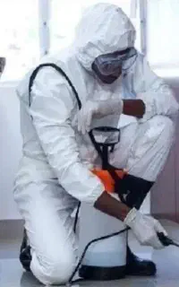 سمپاشی تخصص موریانه زدایی سوسک ساس سم پاشی موش