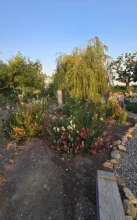 نگهبان ۲۴ ساعته