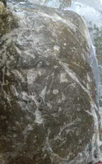 سبزی خورشتی دزفول امسالی