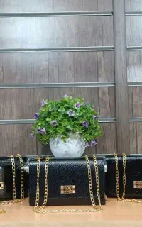کیف شیک و مجلسی