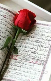 قرآن کریم