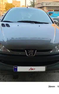 پژو۲۰۶در حد