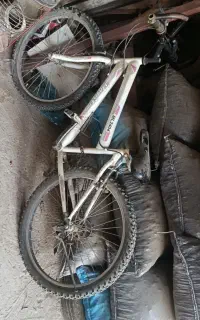 دوچرخه در حدنو سالم
