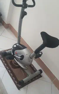 دوچرخه ثابت