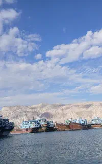 حمل و نقل کالا به ایران تضمینی