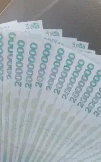 خواهان ضامن