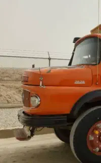 برگه اسقاط کشنده