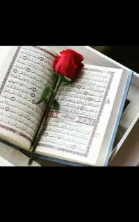 ارائه خدمات در زمینه فال دعا