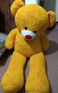 خرس بزرگ