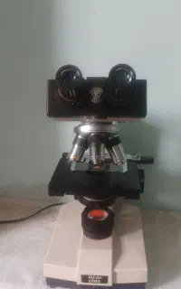 میکروسکوپ ژاپنی ارما