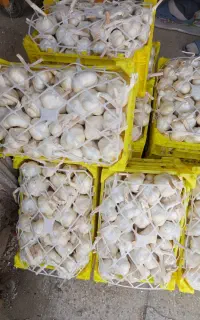 سیر تازه و خشک شده همدان 200