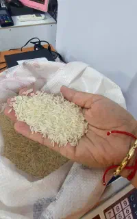 برنج  ویتنام
