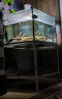 آکواریوم غول