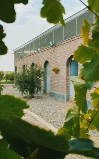 پانسیون و نگهداری اسب در رفسنجان