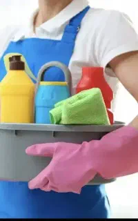 سایر نظافت