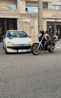 sd v8