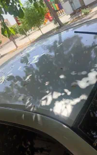 پژو مدل ۸۴ دوگانه