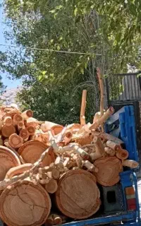 خریدار انواع چوب هرچیزی که تو ذهنت میاد