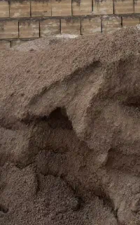 ماسه رایگان
