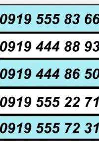 0919.666