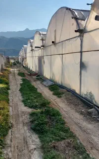 فروش سازه گلخانه