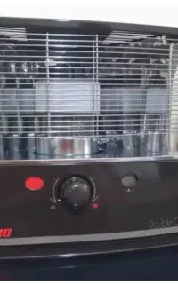 بخاری ، تیوست ژاپنی