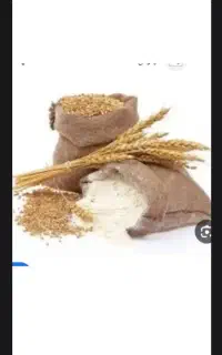 دو عدد آرد سنگگ
