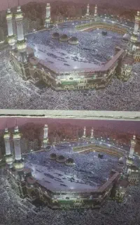 دو عدد فیش مکه عمر