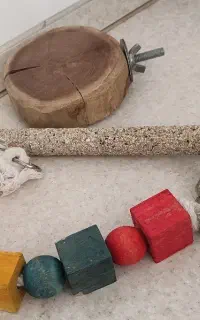 اسباب بازی چوب نشیمن شامپو لوازم جانبی پرنده