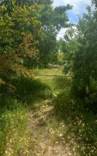 استخدام باغبان