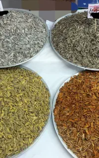 تخمه داغ جنتی