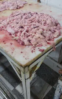 ضایعات مرغ