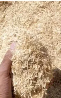 فروش کاه