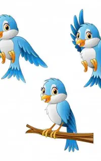 پرنده پیدا شده